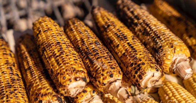 Pexels/Yasir Gürbüz